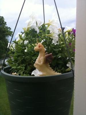 Momma Dove Pushed out the Dragon Candle 