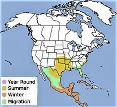 map showing the range of the painted bunting