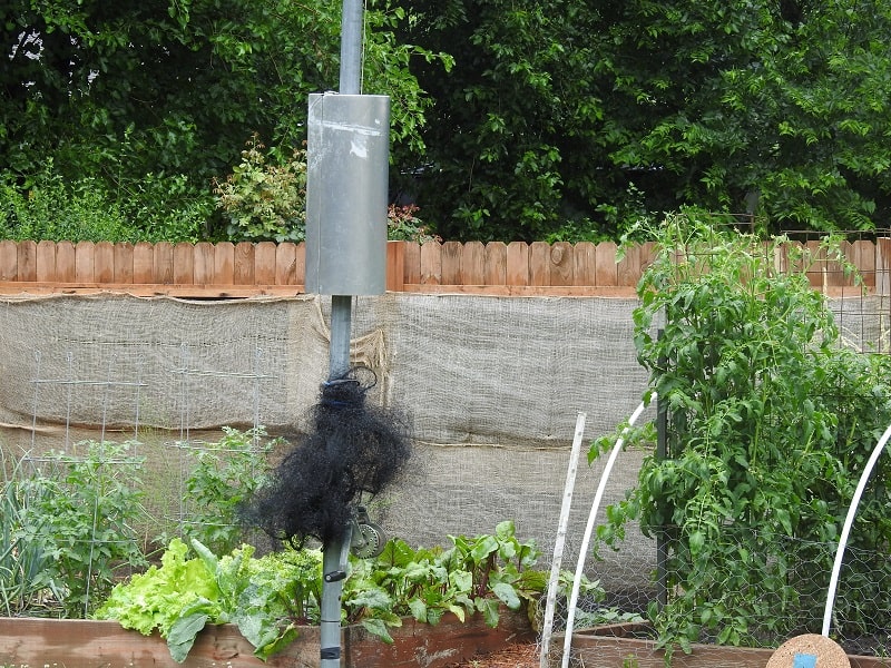 Predator Guard with Bird Netting around Pole