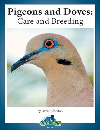 ebook on Pigeons and Dove Care