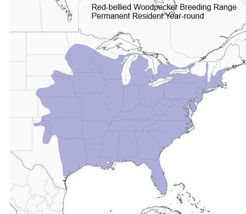 Range map of Red-bellied Woodpecker across the eastern United States