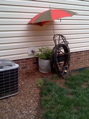 umbrella placed over robin nest in planter