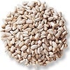 safflower seed
