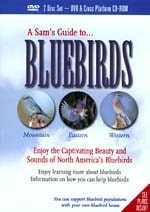 what bluebirds do Book