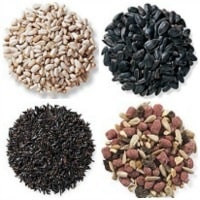 find what seed birds like the most with our seed type page