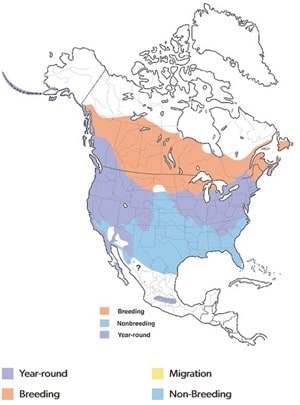 Song Sparrow Range Map