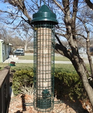 squirrel buster feeder