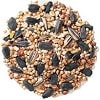 bird seed stripped sunflower seed