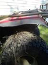 Robin Nest on Tire