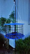 Bluebird Feeder
