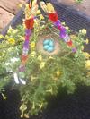 My flowers were dying and discovered this robin nest inside