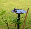 Bertha and male baby in birdbath