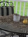 Robin Nesting material on my Table