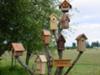 Birdhaven Birdhouses