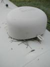 Nest Under Propane Tank Lid