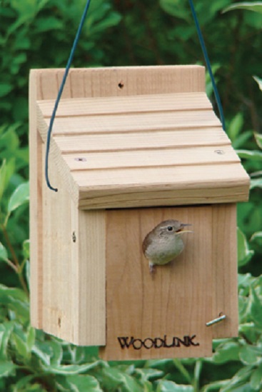 wren looking out of wren birdhouse opening