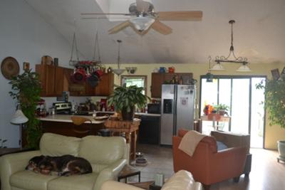 Door on right, Plant with nest on left