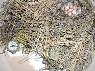 7 Eggs Laid