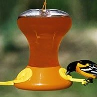 Oriole Nectar Feeder