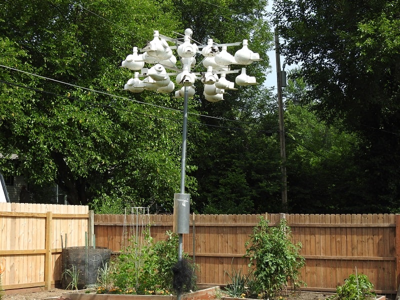 purple martin gourd rack with 24 plastic gourds