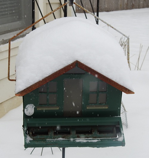 Squirrel Be Gone Feeder