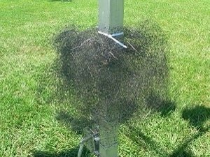 snake netting to keep snakes away from bird houses