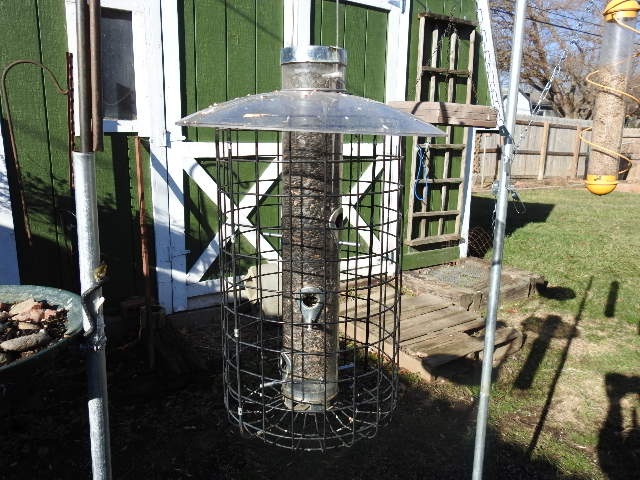 Caged Feeder