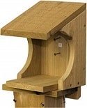 nesting shelf for doves and robins