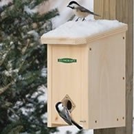 winter roosting box for birds