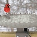 heated birdbath deck mounted