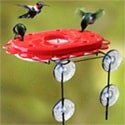 window hummingbird feeder