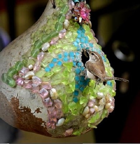 Wren Feeding Young in Gourd birdhouse